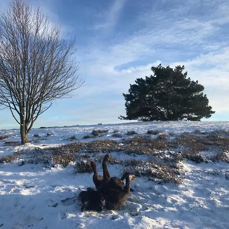 Apartament Bildstein's 