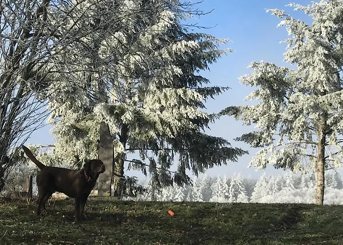 דירה Bildstein's 