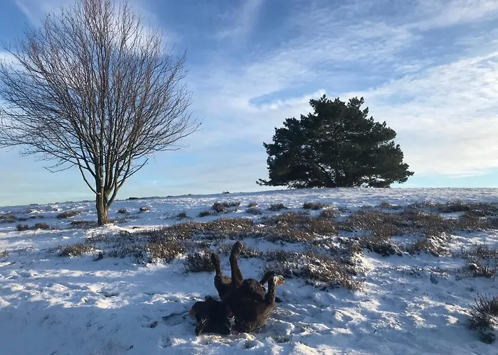 דירה Bildstein's 